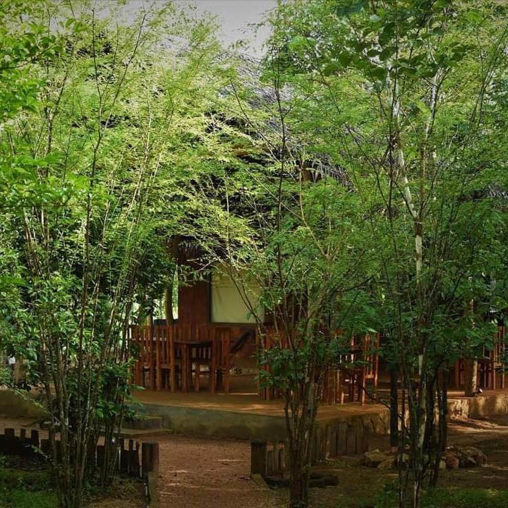 Sky Forest Хабарана Екстер'єр фото