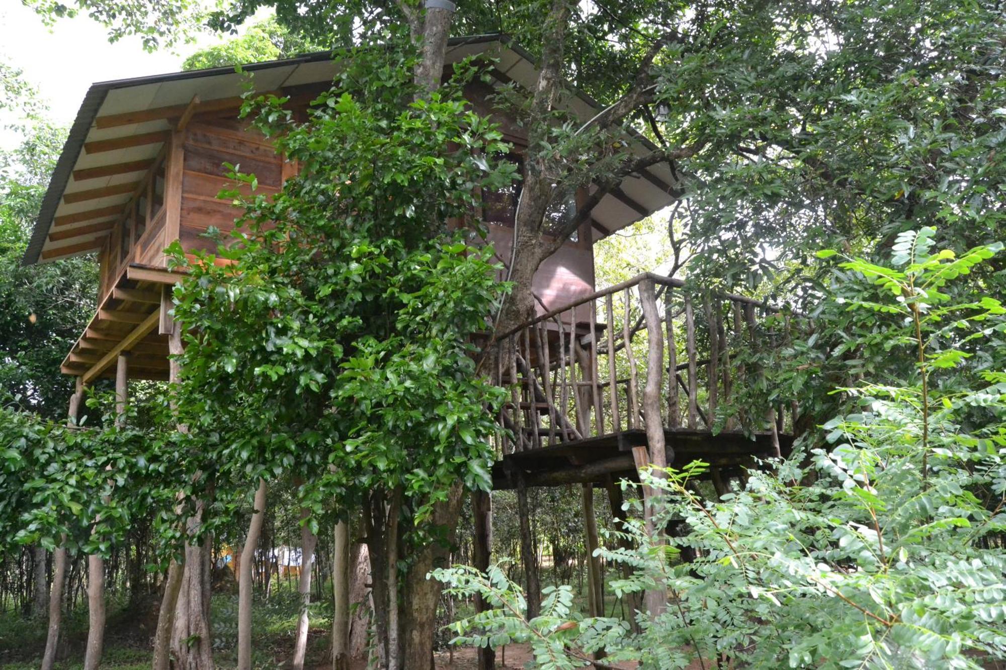 Sky Forest Хабарана Екстер'єр фото